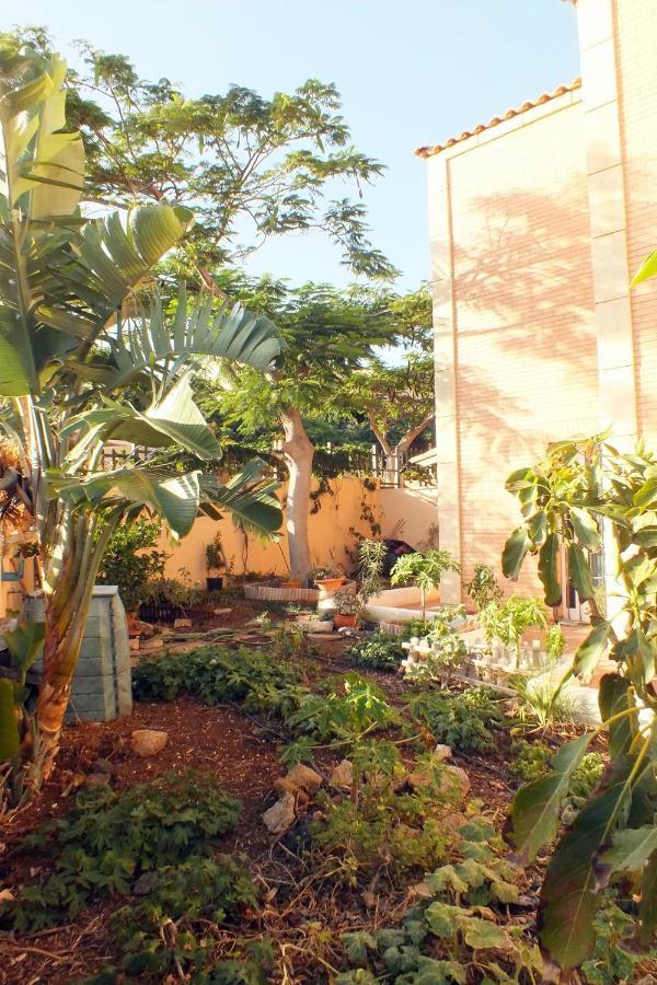 Appartement Casa Nea à El Rosario  Extérieur photo